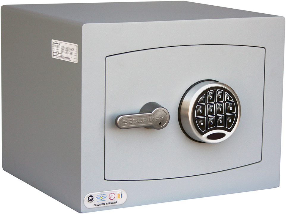 Mini Vault Silver 1E